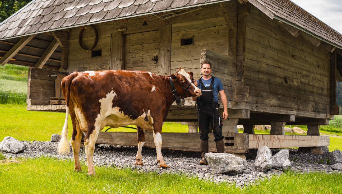 Redhill Farm_Beer_Eggiwil_Kuh