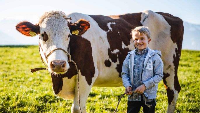 Spinnerei_Lindenmann_Uznach_Kuh3