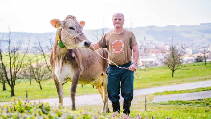 Unterebersol_Elmiger-Kaufmann_Hohenrain_Kuh