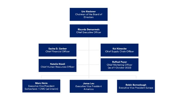 organigramm-struktur-emmi-en-2023