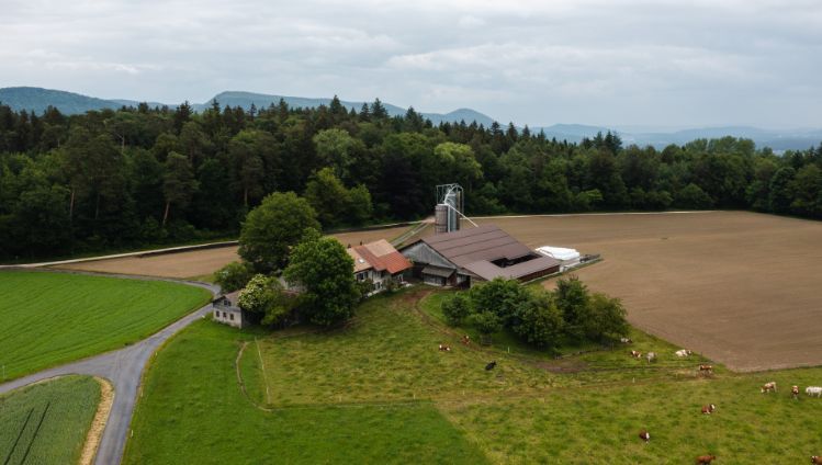 Buchhof_B?rgi_Erlinsbach_Drohne