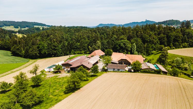 Familie Moser_Moser_Mittelhaeusern_Drohne