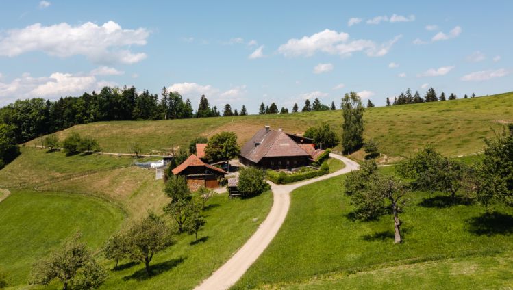 Heiniroth_Habegger_Gr?nen_Drohne