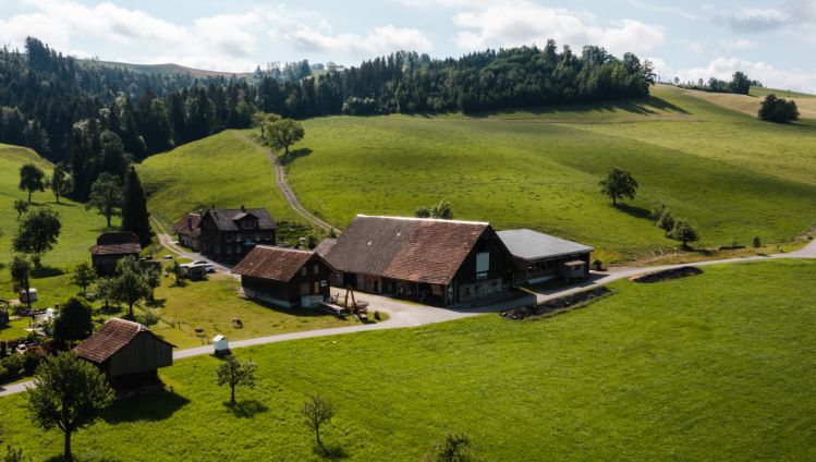 Hinter-Opfersei_Burri_Hergiswil b. Willisau_Drohne