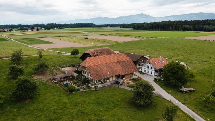 Hinterfeldhof_Ingold_Rothenbach Herzogenbuchsee_Drohne
