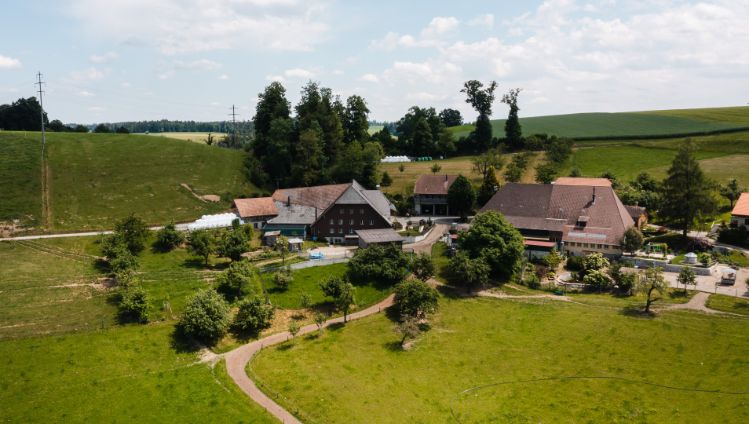 Hof Sommer_Oberer Glasbach_Rohrbachgraben_Drohne