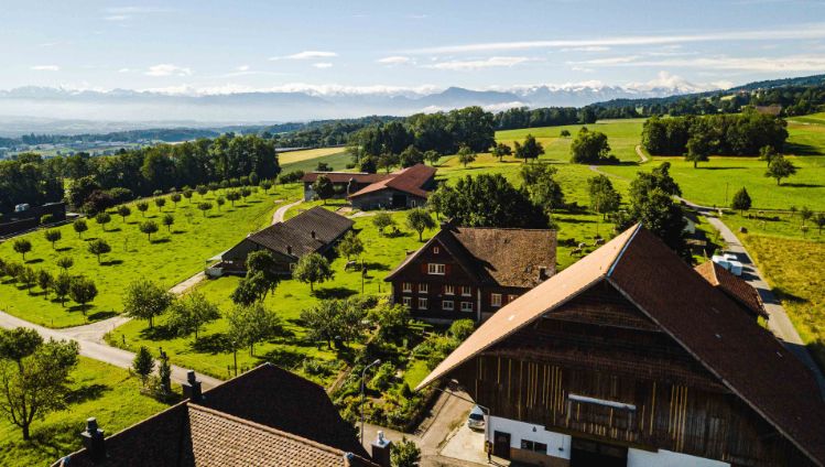 Langenmatt_Etterlin_Muri_Drohne1