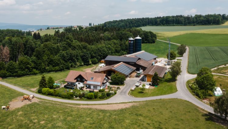 Loostudfarm_Koch_Berikon_Drohne