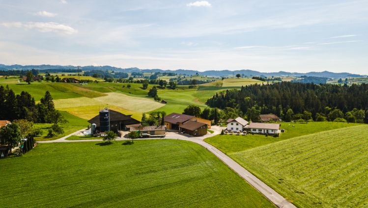 Raeberhof_Sommer_Ufhusen_Drohne