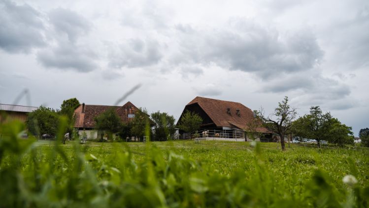 Wohleiberg_Schmid_Frauenkappelen_Hof