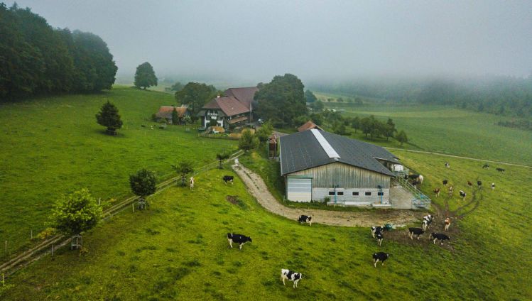 Amselberg_Wüthrich_Worb_Drohne