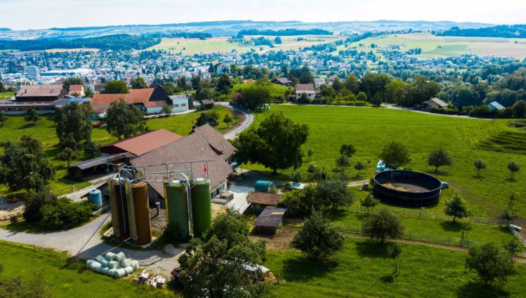Berghof_Menziken_Siegrist_Menziken_Drohne
