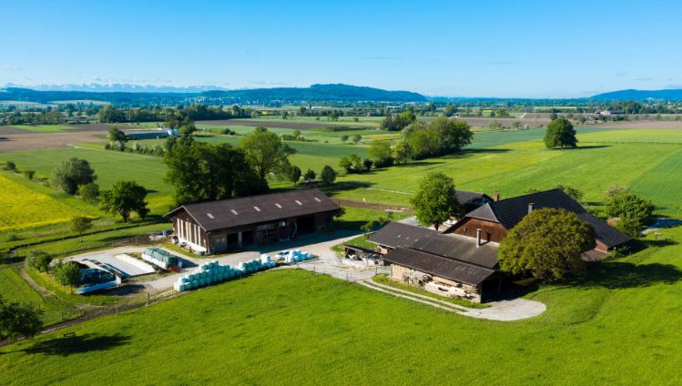 Bio_Eichholz_Scherrer_Lengnau_Drohne