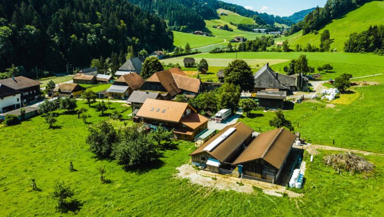 biogomerk_Schüpbach_Hasle b B_Drohne