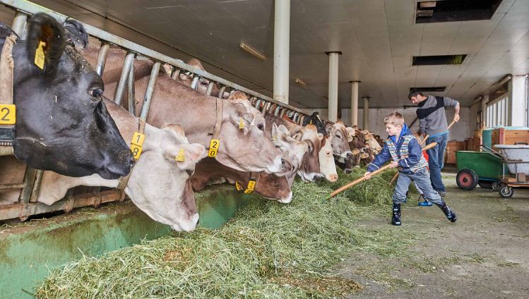 Bleichi_Andreas Krieg, Niederurnern_Stall