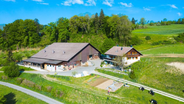 Buckacherhof_Knecht_Schneisingen_Drohne