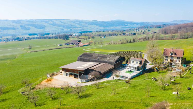 Buehlen_Zimmermann_Kleinwangen_Drohne