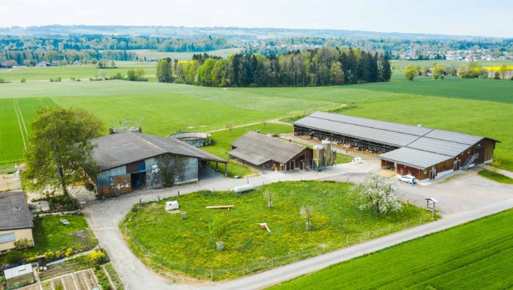 BZG_Fischer_Waldvogel_Fischer_Merenschwand_Drohne