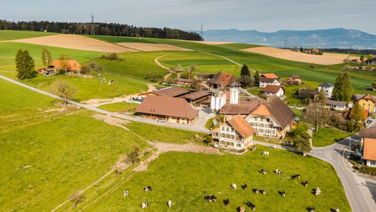 Eichhof_Weber_Grasswil_Drohne