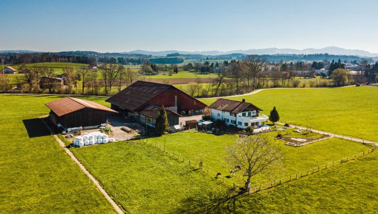 Familie Fürst_Fürst_Mönchaltdorf_Drohne