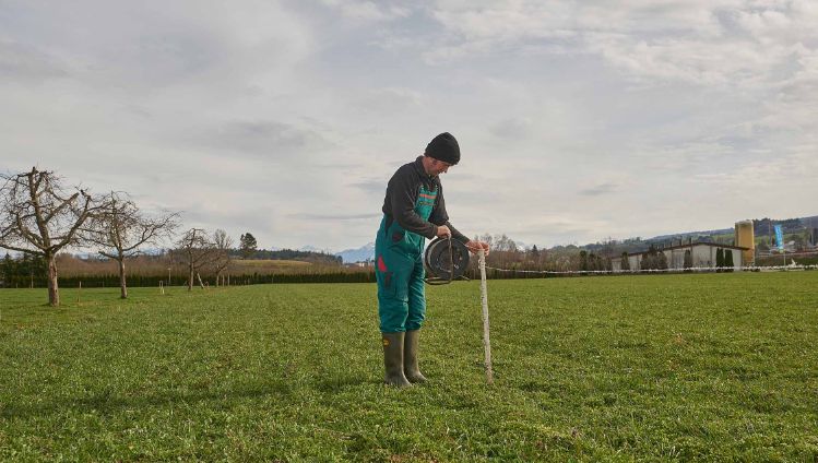 Flurhof, Urban Keusch, Boswil_Weide