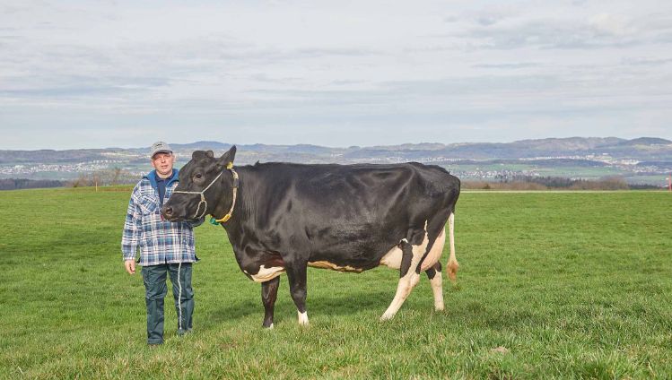 Gammerstall, Kurt Huber-Stalder, Muri_Ganzkörper mit Kuh_2