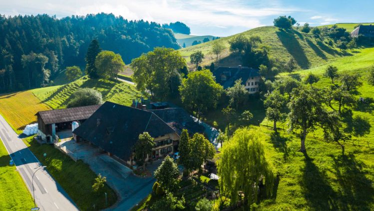 Hämmenhof_Kohler_Walterswil_Drohne