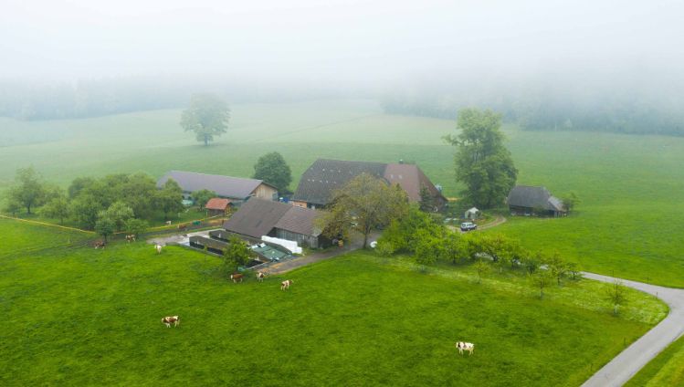 Hager_Minder_Auswil_Drohne