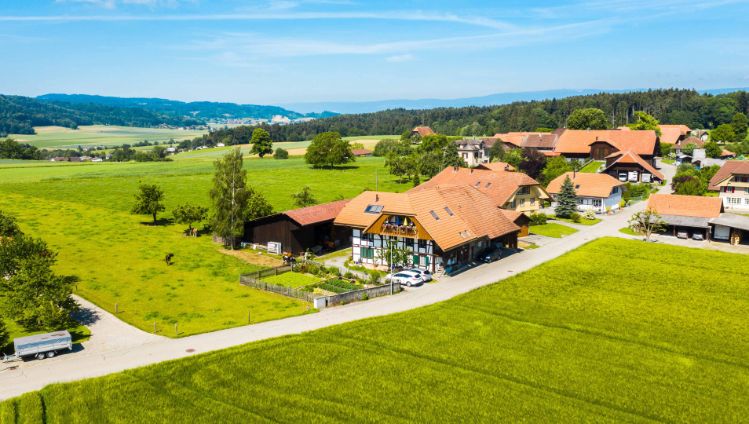 Hölzli_Bolz_Dieterswil_Drohne