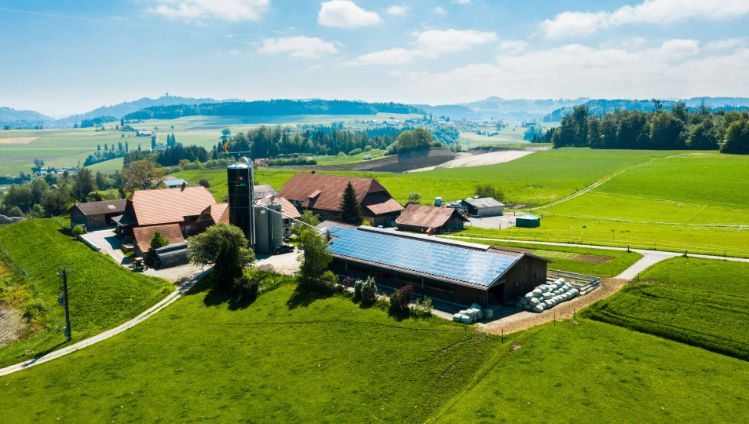 Hof_Gilgen_Gilgen_Oberwangen_Drohne