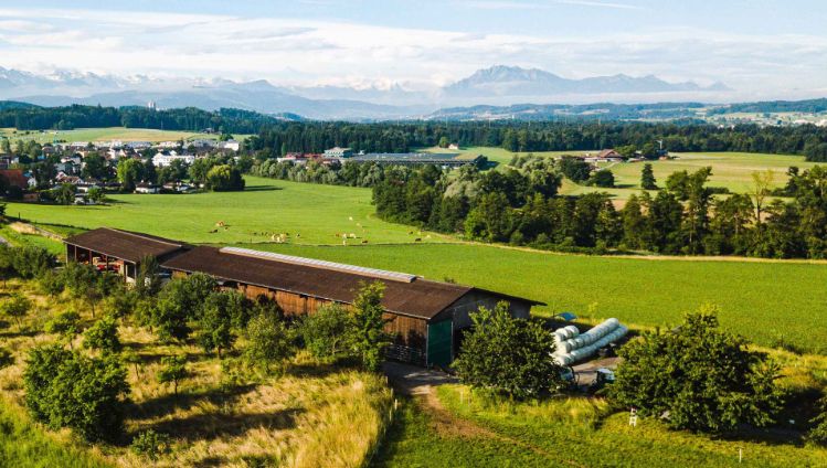 Hof-Sidler_Sidler_Hagendorn_Drohne_zugeschnitten