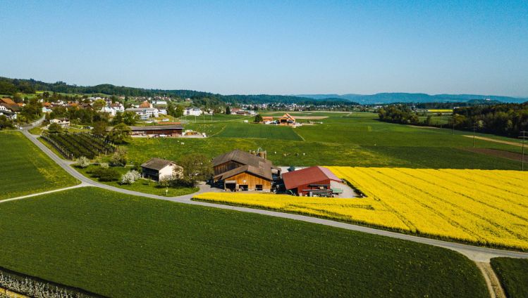 Hof Urech_Urech_Hallwil_Drohne