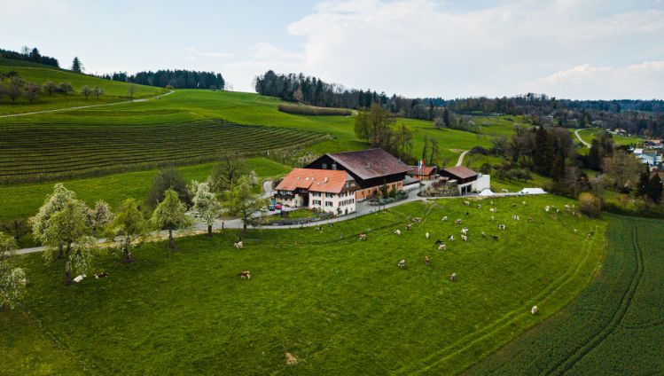 Landgut Widenmoos_Fischer_Winikon_Drohne