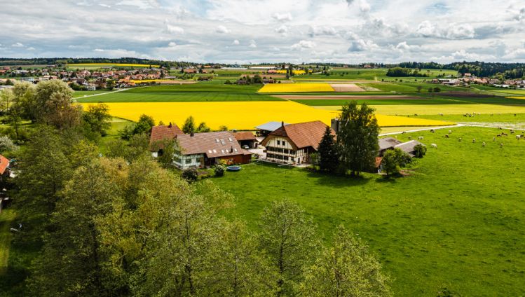 Langeten_Kopp_Dotzigen_Drohne