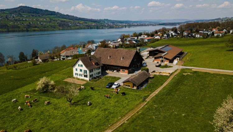 Langmatthof_Siegrist_Meisterschwanden_Drohne-2