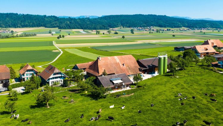 Lim-Val_Holstein_Kunz_Mülchi_Drohne