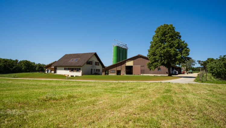 Milchwirtschaftsbetrieb Dommen_Dommen_Wittnau_Hof