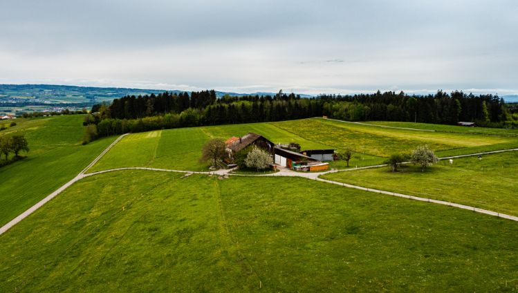 Neuweid_Odermatt_Aesch_Drohne