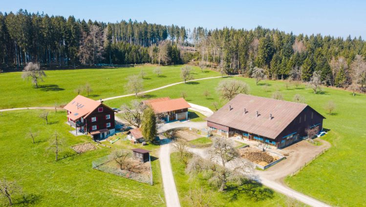 Sonnerihof_Haas-Fischer_Beinwil_Drohne