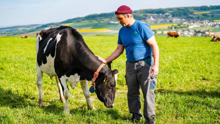 Steig_Bachmann_Niederweningen_Arbeit_2