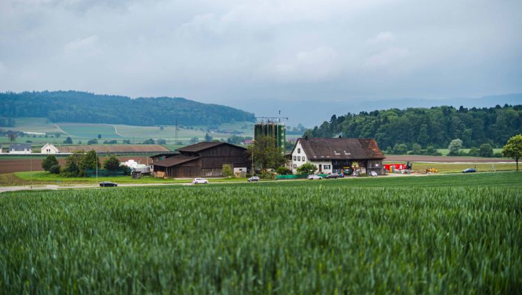 Steinbrüggli_Schlatter_Otelfingen_Hof