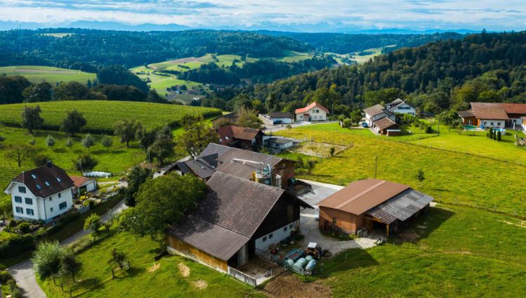 Wilhelm_Wilhelm_Uerkheim_Drohne