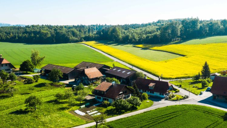 Wyssmann_Wyssmann_Neuenegg_Drohne