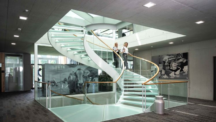 finanzkalender-stage