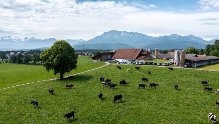 klimastar-event-bauernhof-stage-02