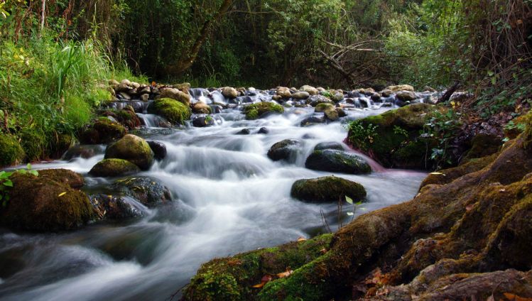 sustainability-wasserstrom