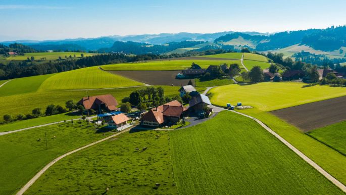 Hof_Zürcher_Zürcher_Dieterswald_Drohne