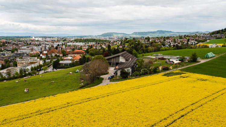 Bannholz_Schweizer_Koeniz_Drohne