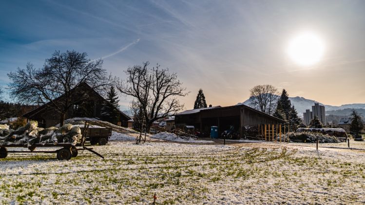 Ober-Grundhof_Schmid_Emmen_Hof_3