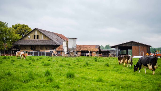 Huob_Bircher_Hagendorn_Hof